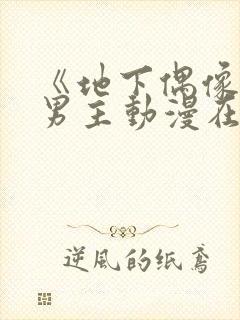 《地下偶像》双男主动漫在线播放