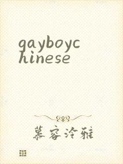 gayboychinese封面