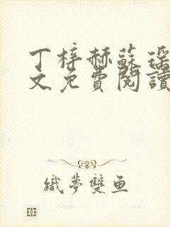 丁梓赫苏瑶馨全文免费阅读最新章节封面