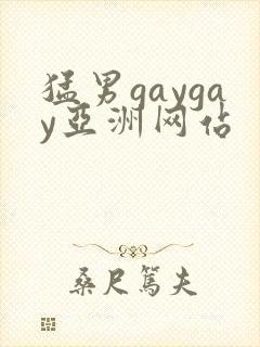 猛男gaygay亚洲网站