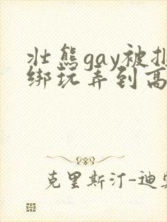 壮熊gay被捆绑玩弄到高潮