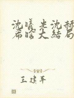 沈曦光沈赫昀乔希晗大结局