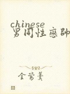 chinese男同性恋帅哥互操网站
