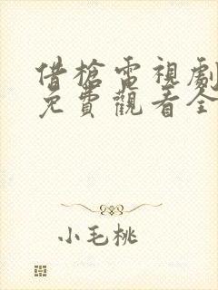 借枪电视剧高清免费观看全集