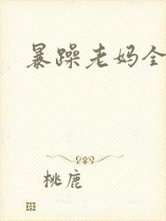 暴躁老妈全集封面
