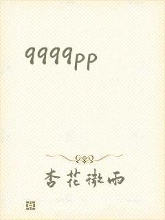 9999pp封面