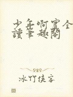 少年啊宾全文阅读笔趣阁封面