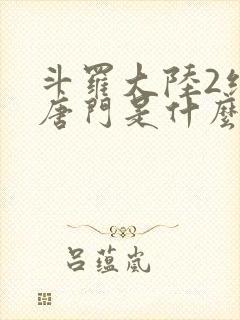 斗罗大陆2绝世唐门是什么时候出的封面