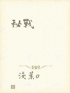 秘战
