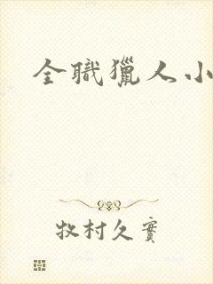 全职猎人小说封面