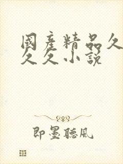 国产精品久久久久久小说封面