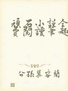 顽石小说全文免费阅读笔趣阁