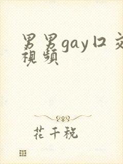 男男gay囗交视频