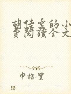 胡佳云的小说免费阅读全文无弹窗封面