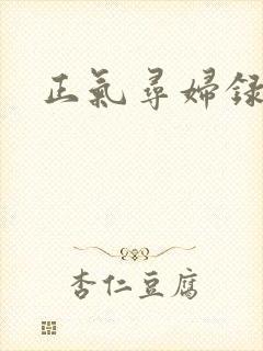 正气寻妇录封面