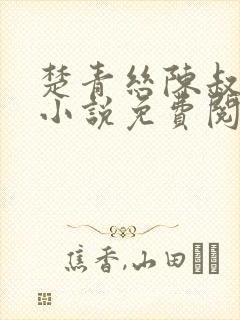 楚青丝陈叔黄震小说免费阅读封面