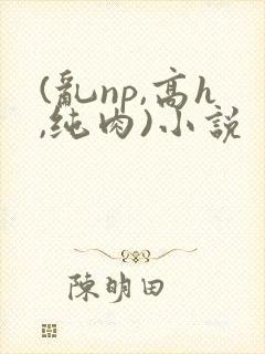 (乱np,高h,纯肉)小说