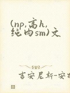 (np,高h,纯肉sm)文封面