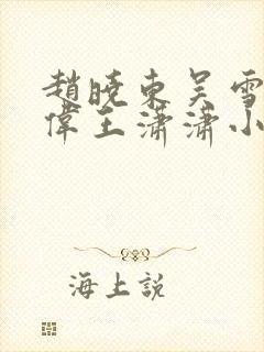 赵晓东吴雪晴郑伟王潇潇小说