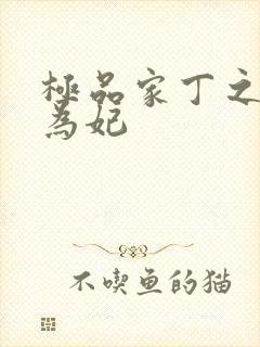 极品家丁之册母为妃封面