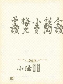 曾梅小说全文阅读免费阅读最新章节