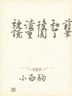 被渣后和前夫破镜重圆了笔趣阁