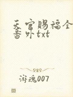 天官赐福全文加番外txt封面