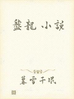 盘龙 小说