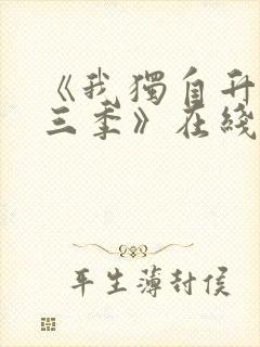 《我独自升级第三季》在线观看