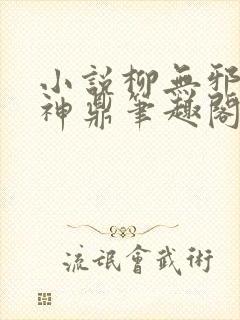 小说柳无邪吞天神鼎笔趣阁