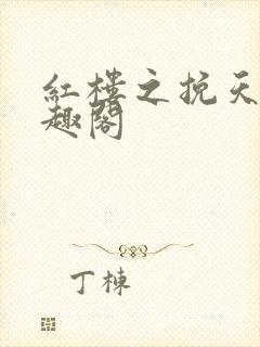 红楼之挽天倾笔趣阁