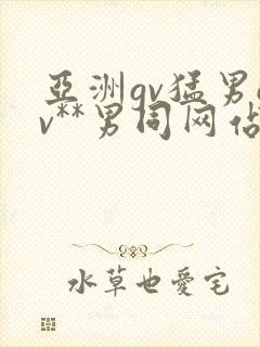 亚洲gv猛男gv**男同网站封面