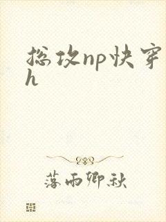 总攻np快穿高h