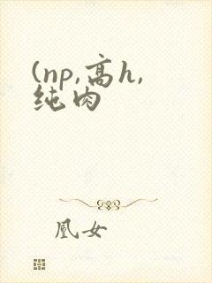 (np,高h,纯肉封面