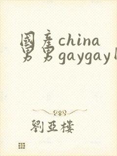 国产china男男gaygay网站