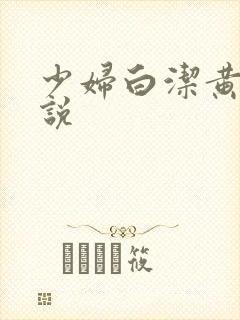 少妇白洁黄色小说