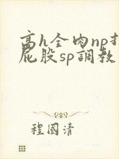 高h全肉np打屁股sp调教封面