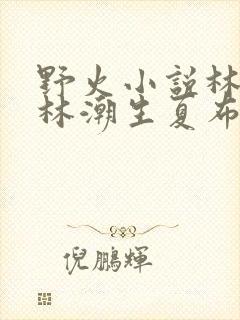 野火小说林晚晚林潮生夏布多昂笔趣阁