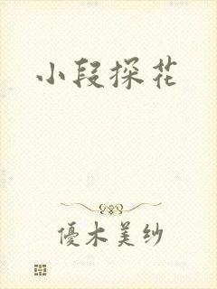 小段探花封面