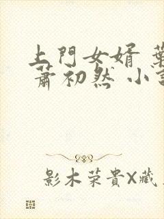 上门女婿 叶辰 萧初然 小说