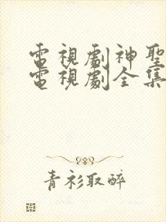 电视剧神圣使命电视剧全集24封面