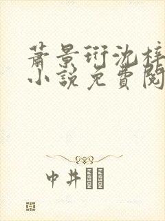 萧景珩沈梓雨的小说免费阅读全文