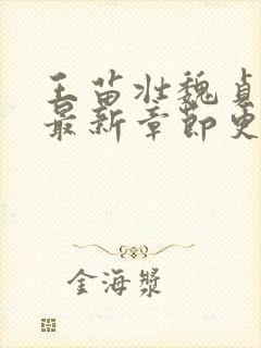 王苗壮魏贞小说最新章节更新时间