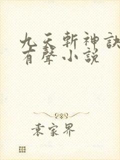 九天斩神诀林辰有声小说