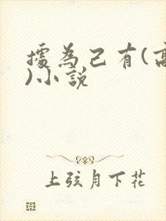 据为己有(高干)小说