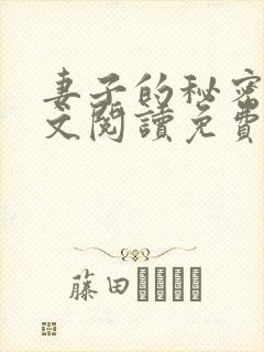 妻子的秘密1全文阅读免费