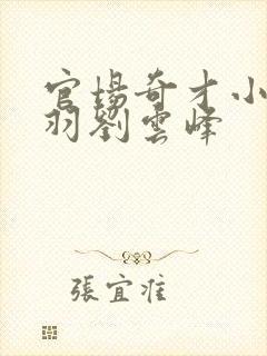 官场奇才小说陆羽刘云峰封面