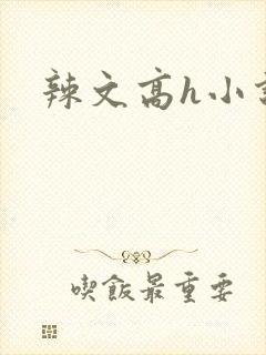 辣文高h小说封面