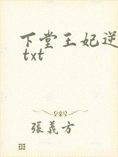 下堂王妃逆袭记 txt