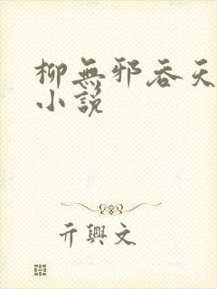 柳无邪吞天神鼎小说
